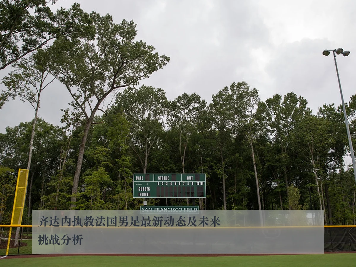 齐达内执教法国男足最新动态及未来挑战分析